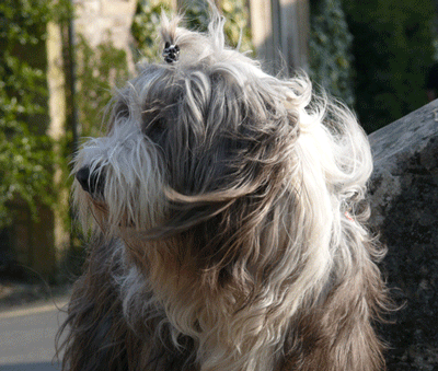Urlaub in England, Castle Combe