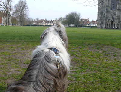 Urlaub in England, Portsmouth